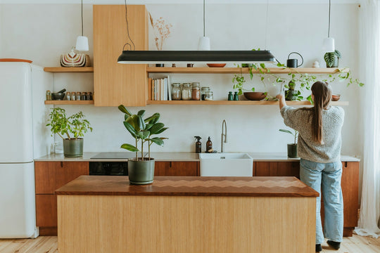 Shelf